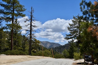 Enlarge photo 14
