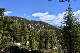 Enlarge photo 31