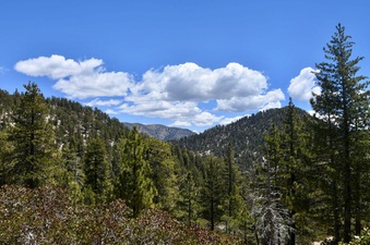 Enlarge photo 32