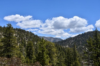 Enlarge photo 33