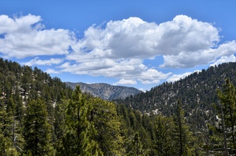 Enlarge photo 34