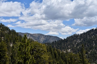 Enlarge photo 35