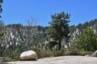 Enlarge photo 37