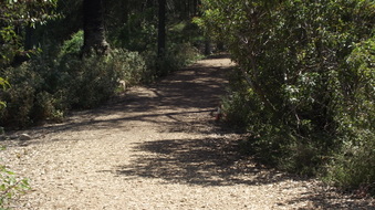 Enlarge photo 16
