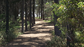 Enlarge photo 18