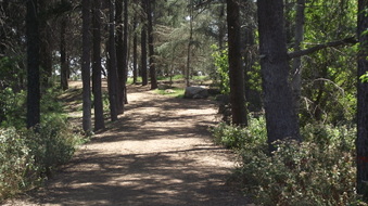 Enlarge photo 20