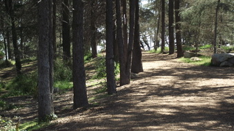Enlarge photo 26