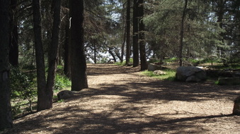 Enlarge photo 17