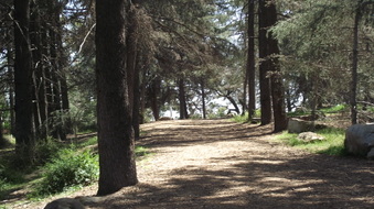 Enlarge photo 15