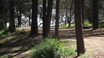 Enlarge photo 19