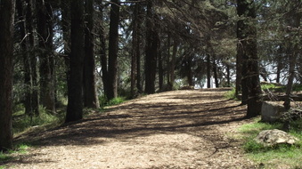 Enlarge photo 22