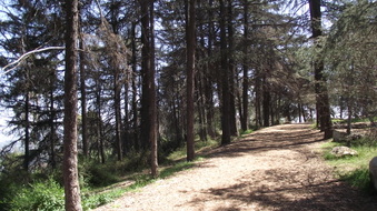Enlarge photo 23