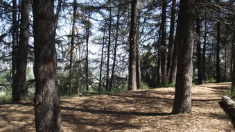 Enlarge photo 21