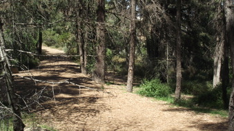 Enlarge photo 24
