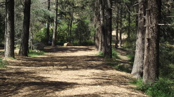 Enlarge photo 25