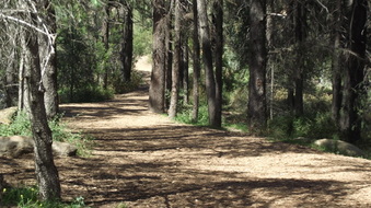 Enlarge photo 9