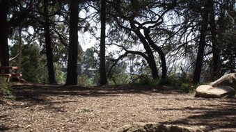 Enlarge photo 11