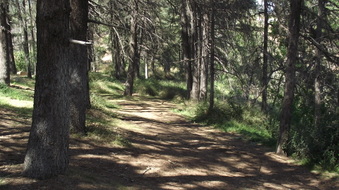 Enlarge photo 14