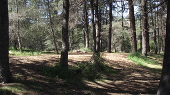 Enlarge photo 13
