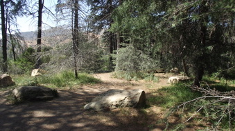 Enlarge photo 8