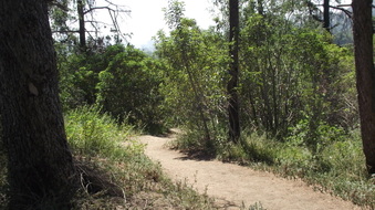 Enlarge photo 7
