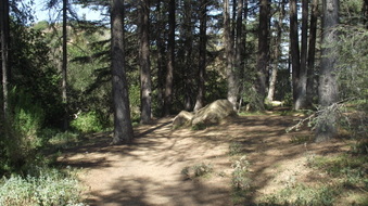 Enlarge photo 28