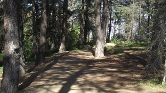 Enlarge photo 5