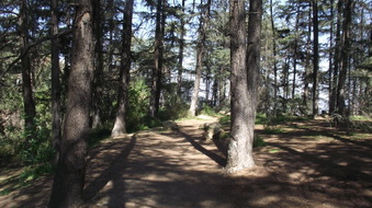 Enlarge photo 2