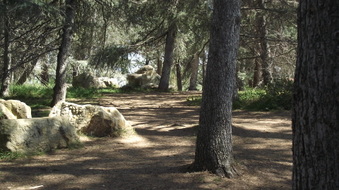 Enlarge photo 3