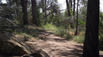 Enlarge photo 6