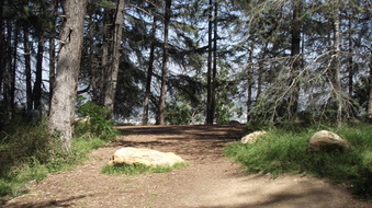 Enlarge photo 4