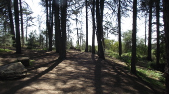 Enlarge photo 10