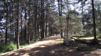 Enlarge photo 12