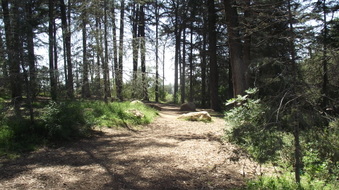 Enlarge photo 27