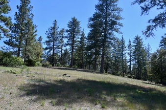 Enlarge photo 2