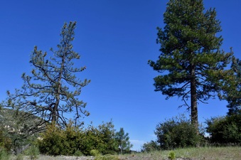 Enlarge photo 6