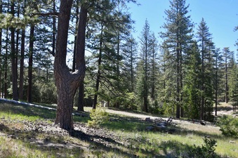 Enlarge photo 7