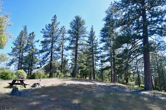 Enlarge photo 9