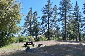 Enlarge photo 10