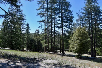 Enlarge photo 15