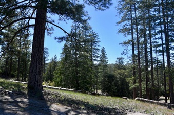 Enlarge photo 16