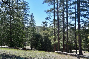 Enlarge photo 17