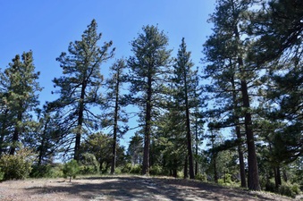 Enlarge photo 18