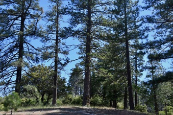 Enlarge photo 19