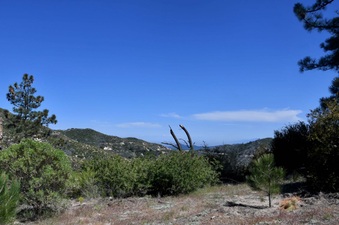 Enlarge photo 21
