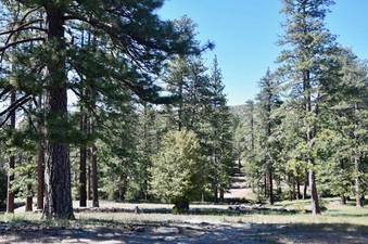 Enlarge photo 23