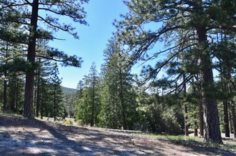Enlarge photo 24
