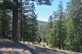 Enlarge photo 25