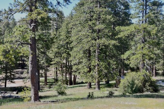 Enlarge photo 26