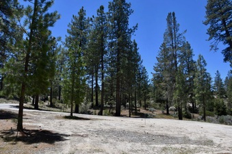 Enlarge photo 15